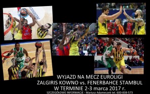 Mecz Euroligi Żalgiris Kowno - Fenerbahce Stambuł